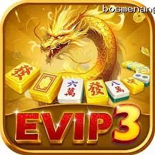 Ikon evip3